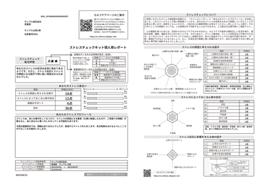 個人用レポート内容