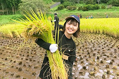 株式会社DACホールディングス導入事例画像09