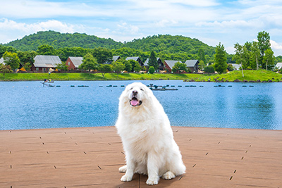 運営する宿泊施設が家族でプライベート利用できる福利厚生も 株式会社エンゼルグループ:導入事例画像06