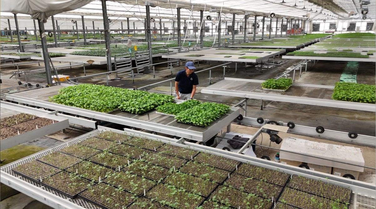 株式会社エバーグリーン富士見：導入事例画像01